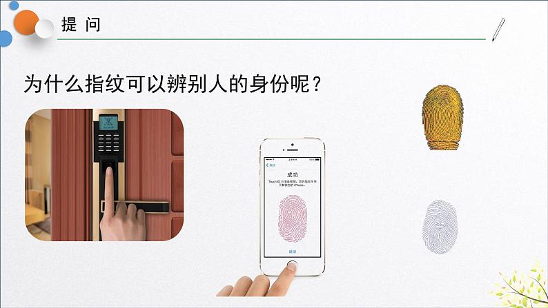 浙教版七年级科学上册 1.3 科学观察课件04