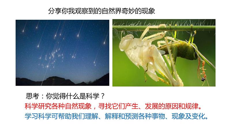 浙教版七年级科学上册 1.1 科学并不神秘课件06