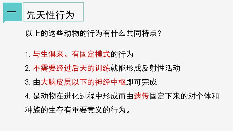 3.4  动物的行为 课件—浙教版八年级科学上册07