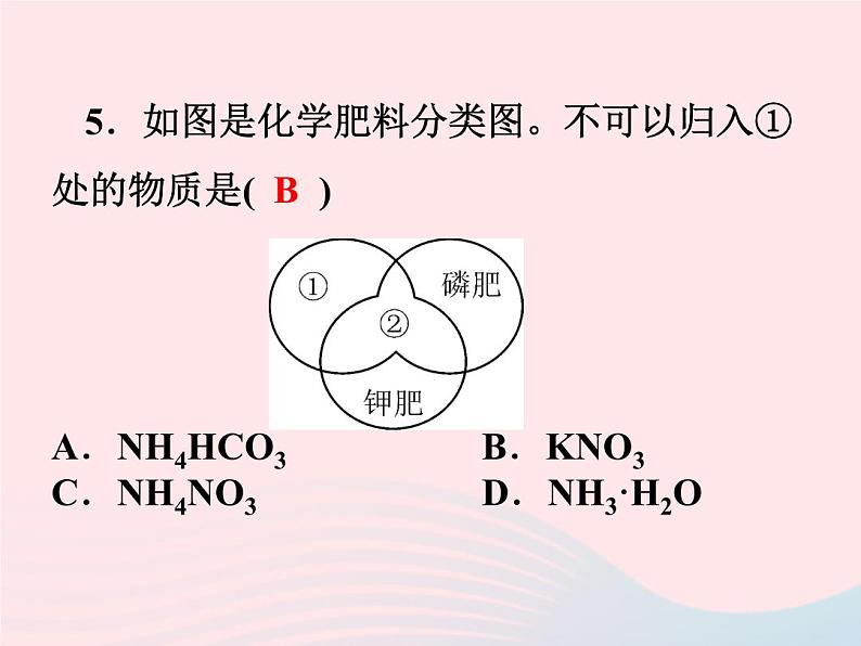 2022—2023学年新版浙教版九年级科学上册第1章物质及其变化1.6几种重要的盐（课件+提优手册）06