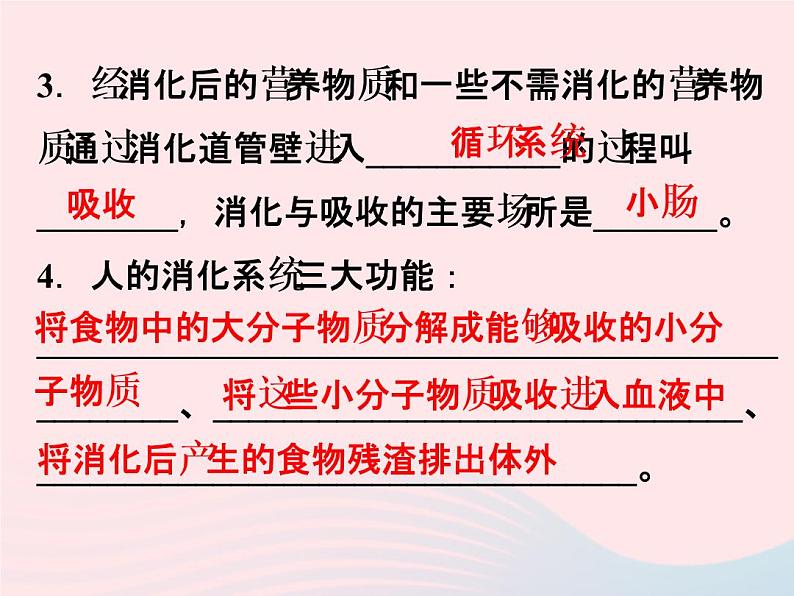 2022—2023学年新版浙教版九年级科学上册第4章代谢与平衡4.2食物的消化与吸收（课件+提优手册）03
