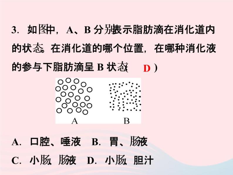 2022—2023学年新版浙教版九年级科学上册第4章代谢与平衡4.2食物的消化与吸收（课件+提优手册）05