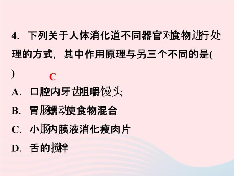 2022—2023学年新版浙教版九年级科学上册第4章代谢与平衡4.2食物的消化与吸收（课件+提优手册）06