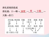 2022—2023学年新版浙教版九年级科学上册第4章代谢与平衡4.2食物的消化与吸收（课件+提优手册）