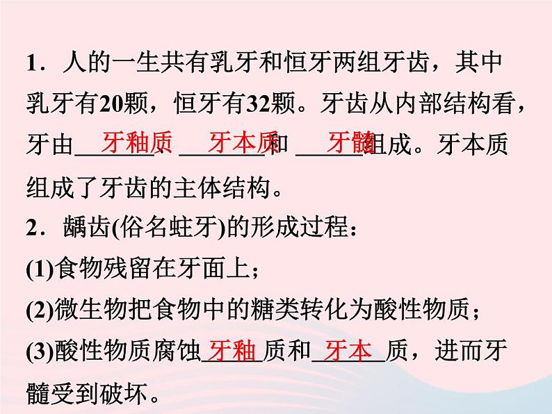 2022—2023学年新版浙教版九年级科学上册第4章代谢与平衡4.2食物的消化与吸收（课件+提优手册）03