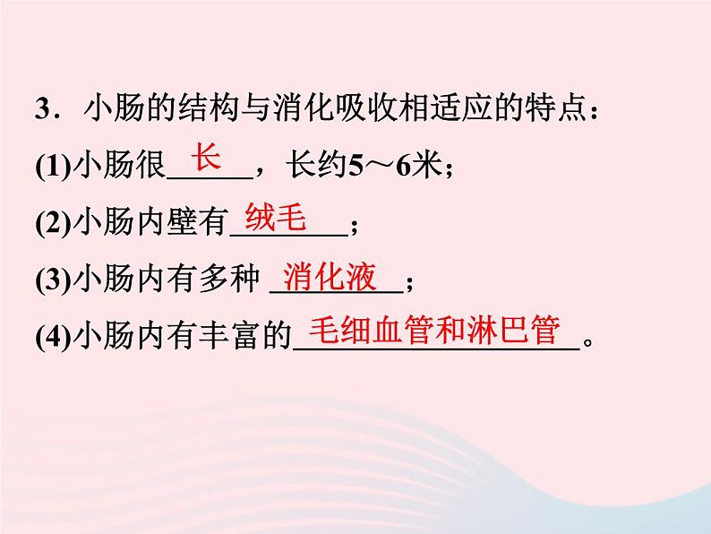 2022—2023学年新版浙教版九年级科学上册第4章代谢与平衡4.2食物的消化与吸收（课件+提优手册）04