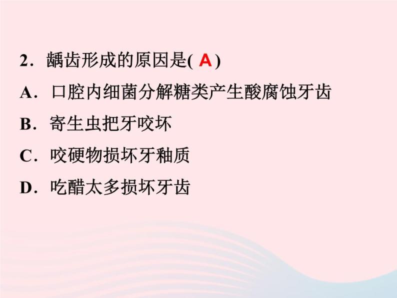 2022—2023学年新版浙教版九年级科学上册第4章代谢与平衡4.2食物的消化与吸收（课件+提优手册）06