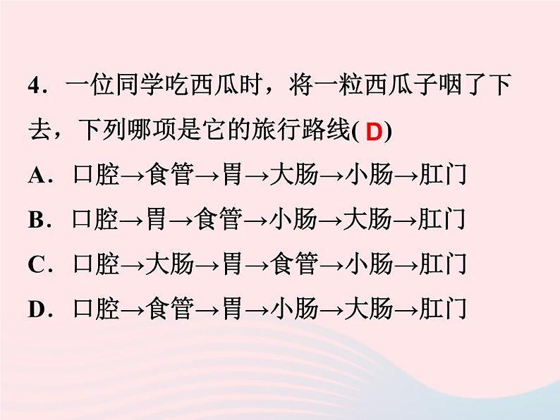 2022—2023学年新版浙教版九年级科学上册第4章代谢与平衡4.2食物的消化与吸收（课件+提优手册）08