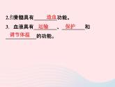 2022—2023學年新版浙教版九年級科學上冊第4章代謝與平衡4.3體內(nèi)物質(zhì)的運輸（課件+提優(yōu)手冊）