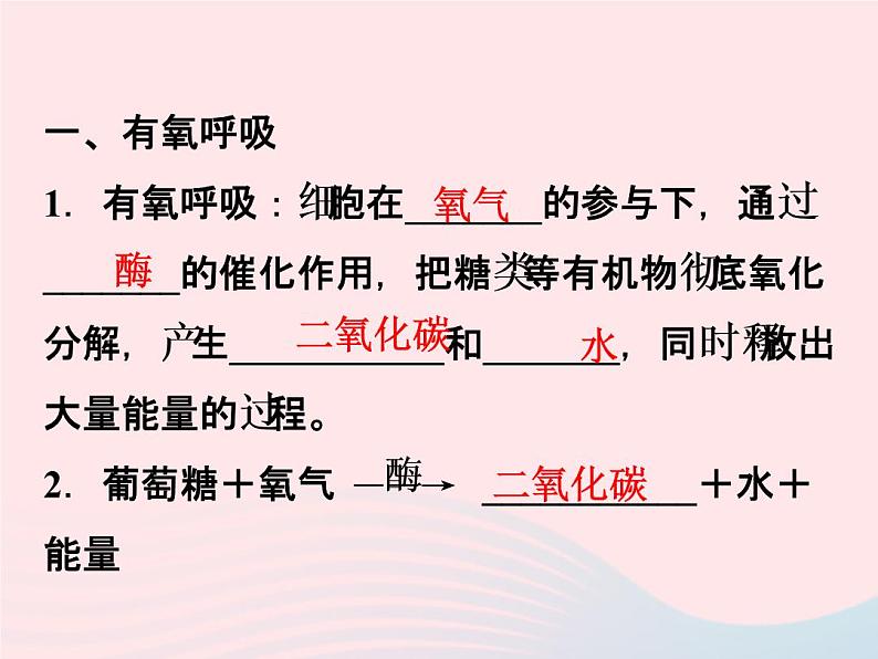 2022—2023学年新版浙教版九年级科学上册第4章代谢与平衡4.4能量的获得（课件+提优手册）02