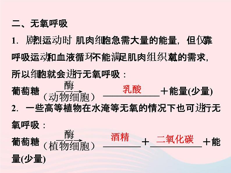 2022—2023学年新版浙教版九年级科学上册第4章代谢与平衡4.4能量的获得（课件+提优手册）03