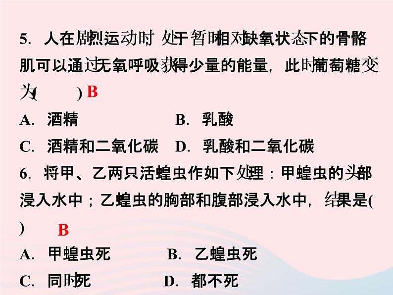 2022—2023学年新版浙教版九年级科学上册第4章代谢与平衡4.4能量的获得（课件+提优手册）07