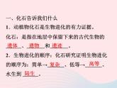 2021—2022學(xué)年新版浙教版九年級(jí)科學(xué)下冊(cè)第1章演化的自然1.4生物的進(jìn)化（課件+提優(yōu)手冊(cè)）