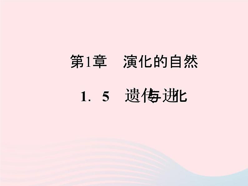 2021—2022学年新版浙教版九年级科学下册第1章演化的自然1.5遗传与进化（课件+提优手册）01