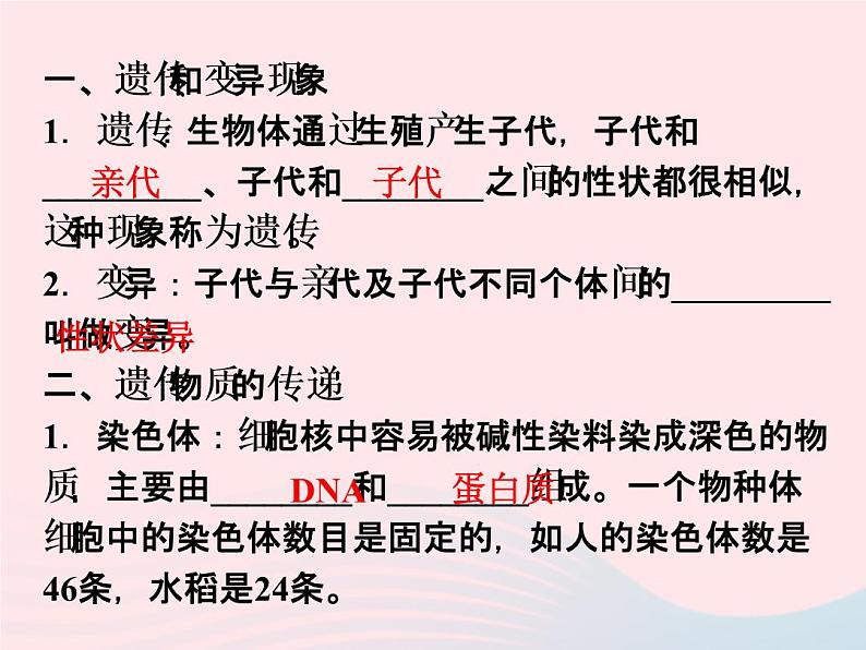 2021—2022学年新版浙教版九年级科学下册第1章演化的自然1.5遗传与进化（课件+提优手册）02