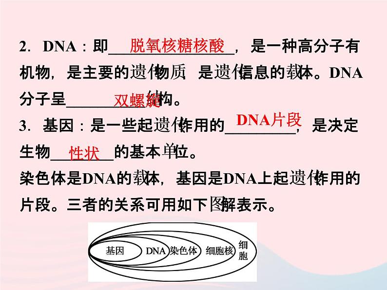 2021—2022学年新版浙教版九年级科学下册第1章演化的自然1.5遗传与进化（课件+提优手册）03