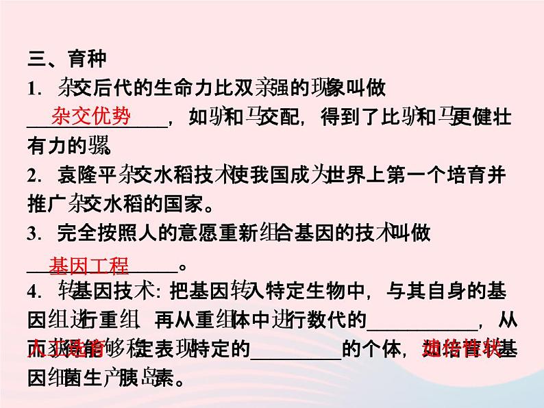 2021—2022学年新版浙教版九年级科学下册第1章演化的自然1.5遗传与进化（课件+提优手册）04