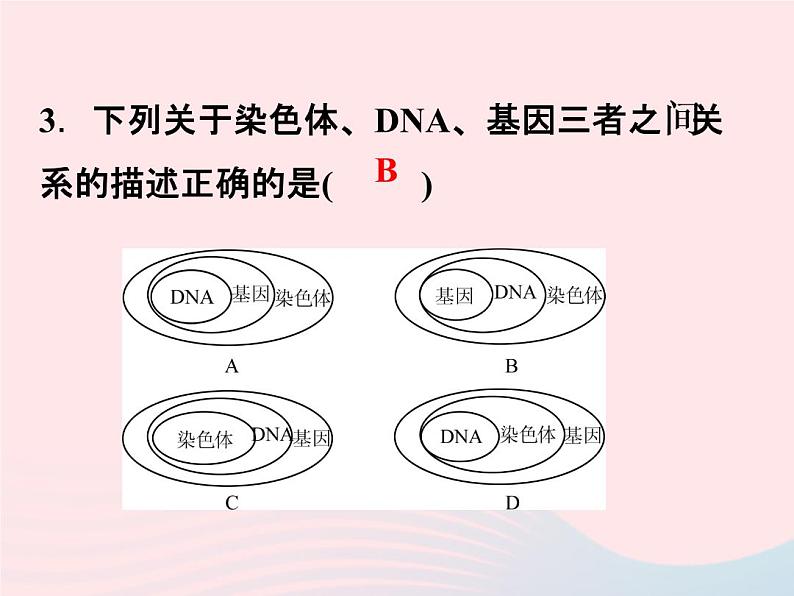 2021—2022学年新版浙教版九年级科学下册第1章演化的自然1.5遗传与进化（课件+提优手册）08