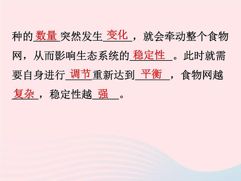 2021—2022学年新版浙教版九年级科学下册第2章生物与环境2.4生态系统的结构和功能（课件+提优手册）03