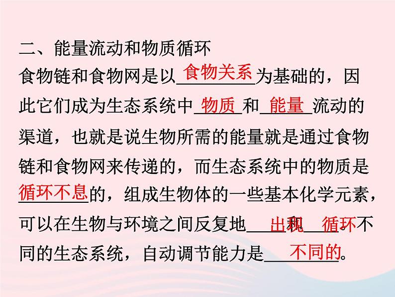 2021—2022学年新版浙教版九年级科学下册第2章生物与环境2.4生态系统的结构和功能（课件+提优手册）04