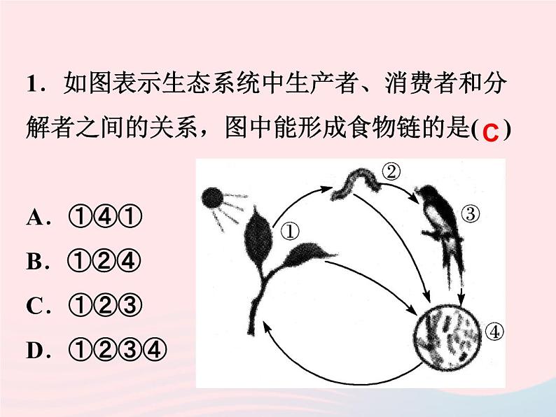 2021—2022学年新版浙教版九年级科学下册第2章生物与环境2.4生态系统的结构和功能（课件+提优手册）05