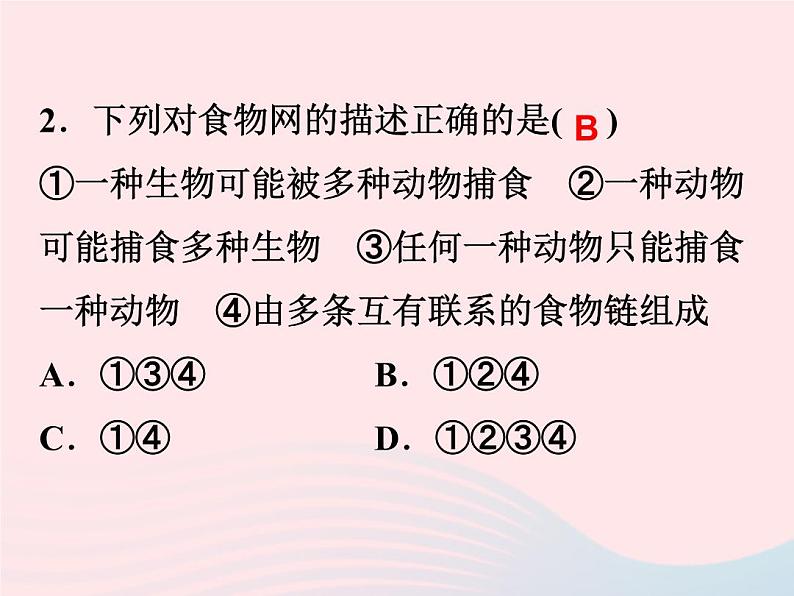 2021—2022学年新版浙教版九年级科学下册第2章生物与环境2.4生态系统的结构和功能（课件+提优手册）06