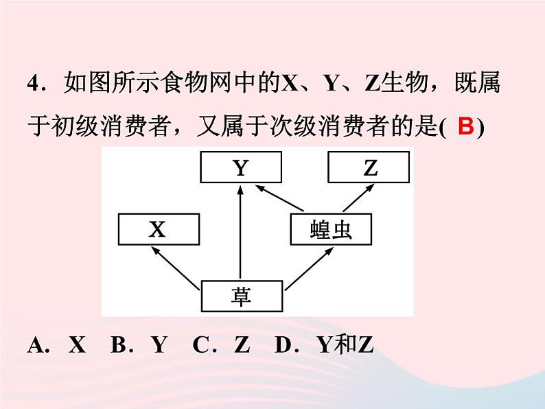 2021—2022学年新版浙教版九年级科学下册第2章生物与环境2.4生态系统的结构和功能（课件+提优手册）08