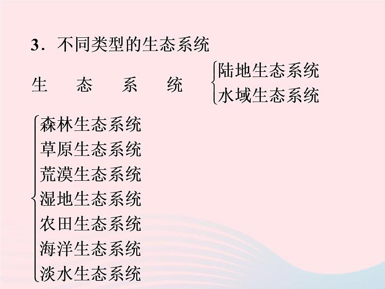 2021—2022学年新版浙教版九年级科学下册第2章生物与环境2.4生态系统的结构和功能（课件+提优手册）03