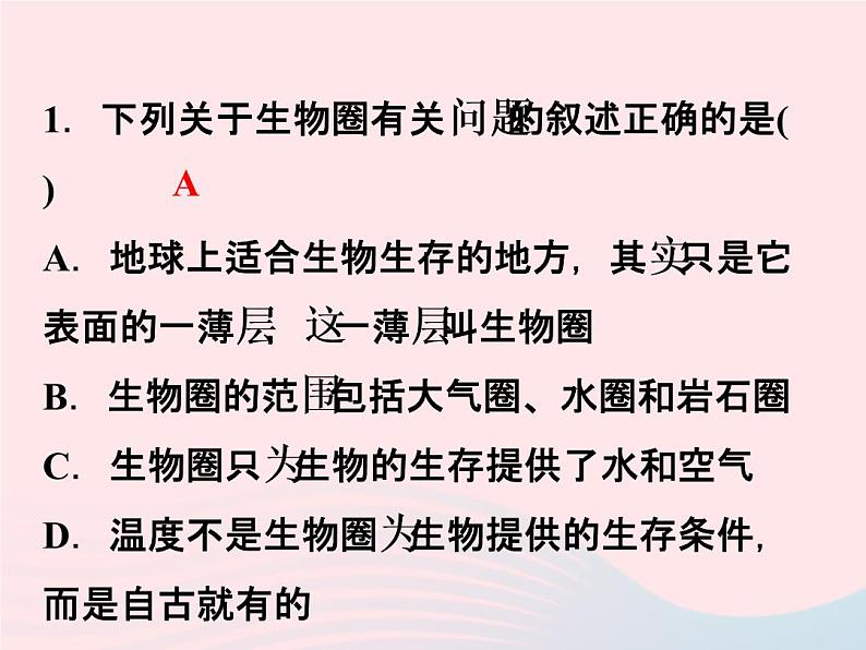 2021—2022学年新版浙教版九年级科学下册第2章生物与环境2.4生态系统的结构和功能（课件+提优手册）05