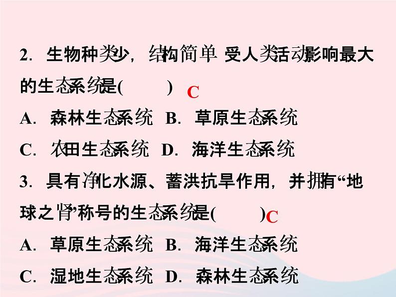 2021—2022学年新版浙教版九年级科学下册第2章生物与环境2.4生态系统的结构和功能（课件+提优手册）06