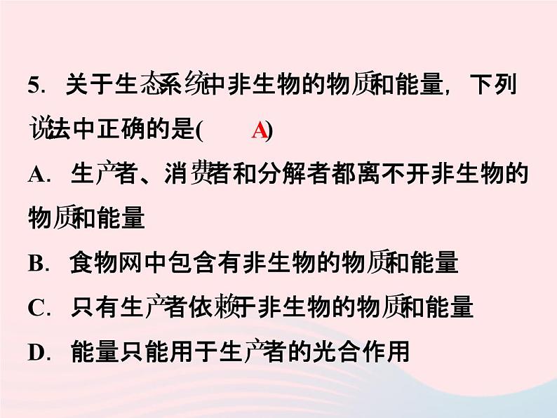 2021—2022学年新版浙教版九年级科学下册第2章生物与环境2.4生态系统的结构和功能（课件+提优手册）08