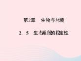 2021—2022学年新版浙教版九年级科学下册第2章生物与环境2.5生态系统的稳定性（课件+提优手册）