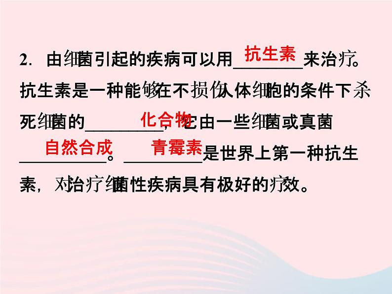 2021—2022学年新版浙教版九年级科学下册第3章人的降3.2来自微生物的威胁（课件+提优手册）03