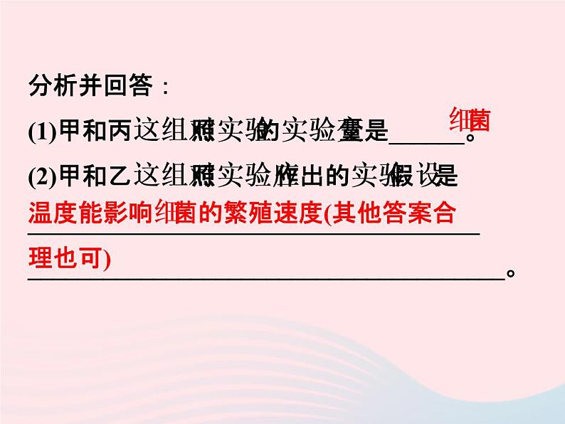 2021—2022学年新版浙教版九年级科学下册第3章人的降3.2来自微生物的威胁（课件+提优手册）08