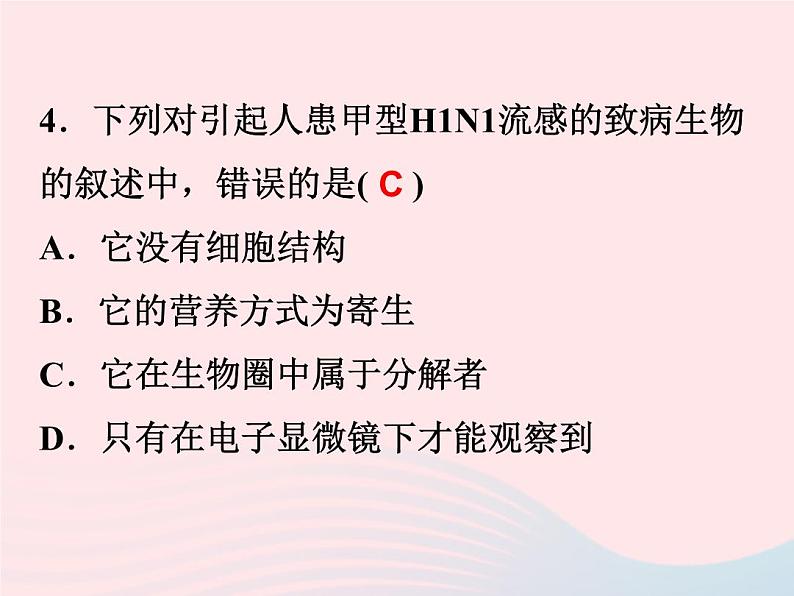 2021—2022学年新版浙教版九年级科学下册第3章人的降3.2来自微生物的威胁（课件+提优手册）08