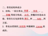 2021—2022学年新版浙教版九年级科学下册第3章人的降3.5人的运动系统和保健（课件+提优手册）