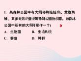 2021—2022学年新版浙教版九年级科学下册第2章生物与环境2.2种群（课件+提优手册）