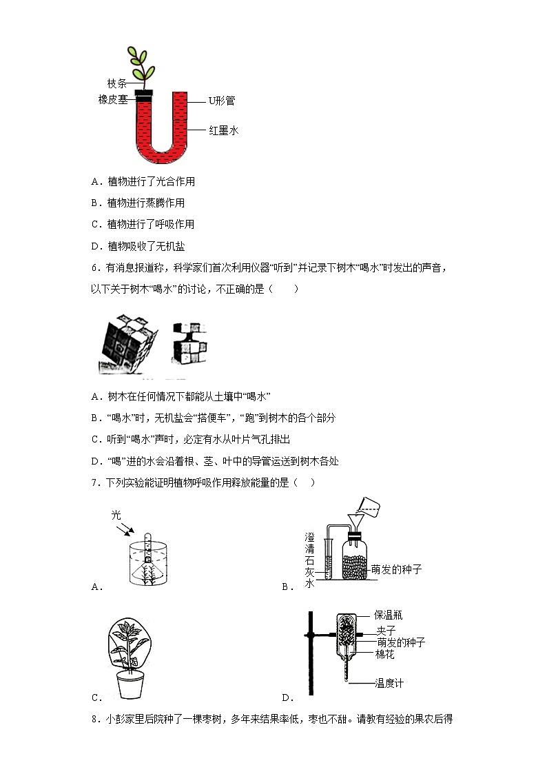 初中科学 华师大第4章 植物的物质和能量的转化 章节训练02