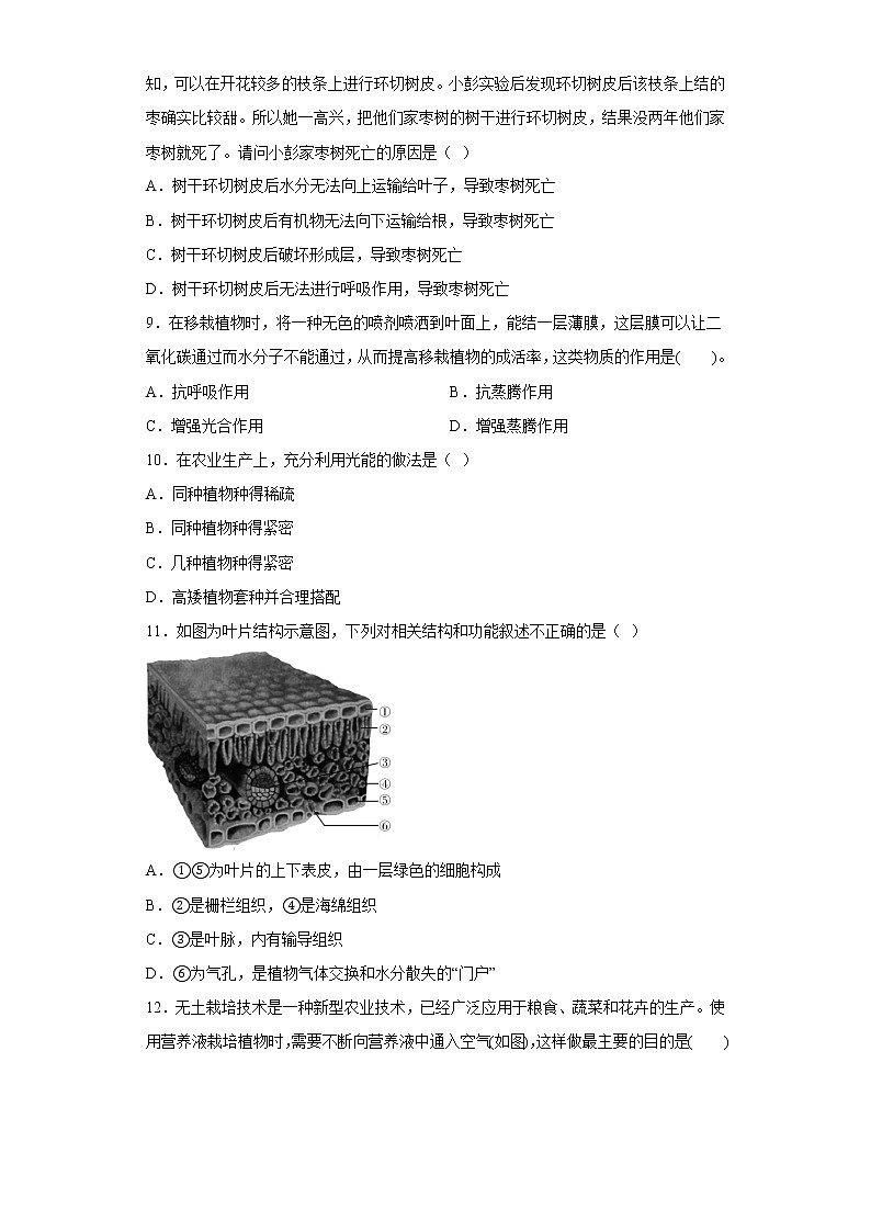 初中科学 华师大第4章 植物的物质和能量的转化 章节训练03