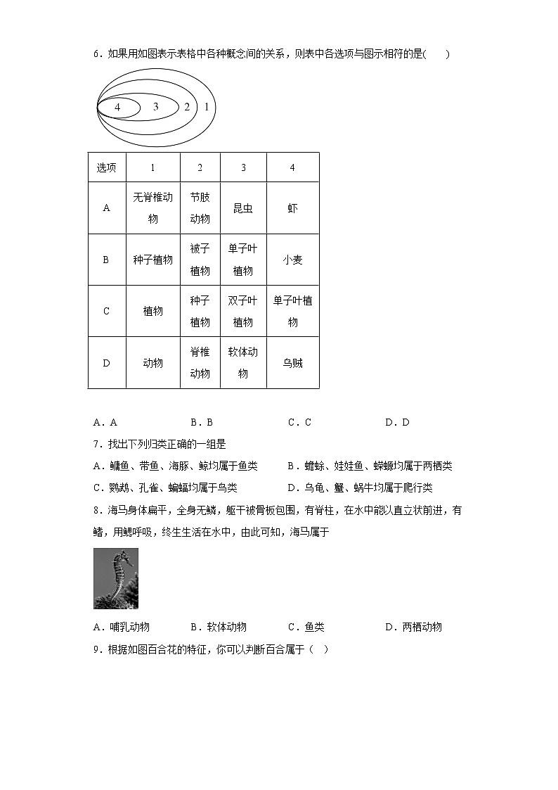 初中科学 七年级上册 第2章 生物的主要类群 章节训练02