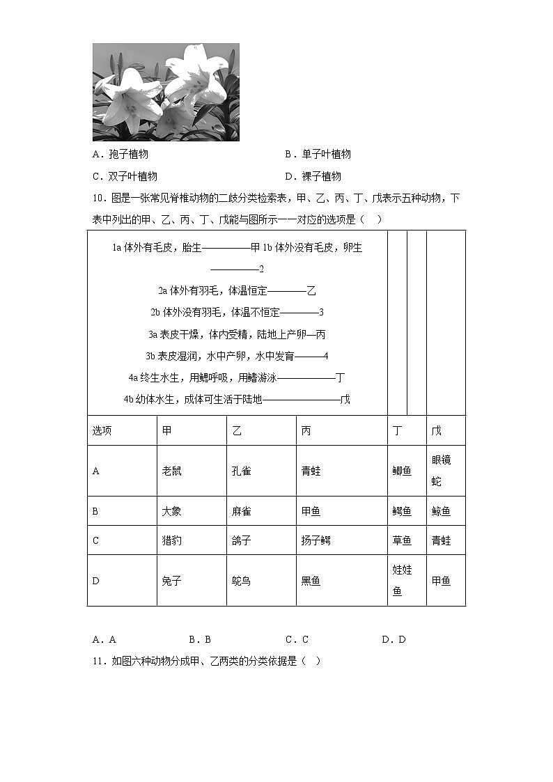 初中科学 七年级上册 第2章 生物的主要类群 章节训练03