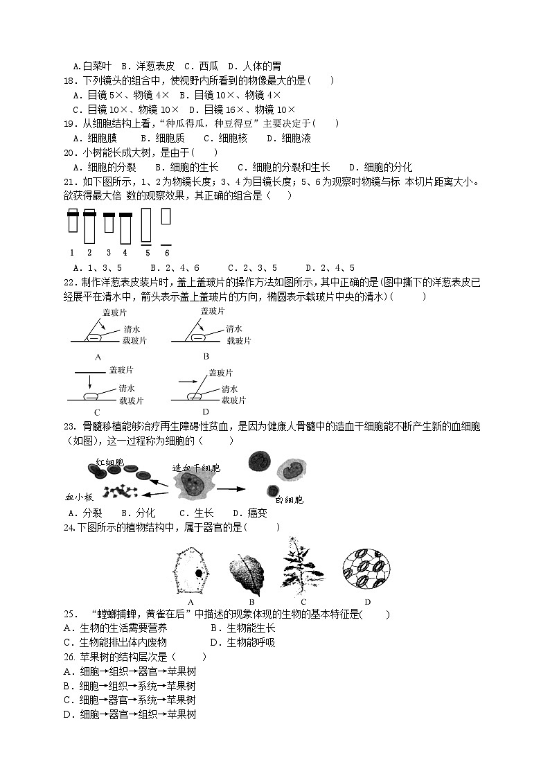 华师大版七年级上册第2章《生物的主要类群》练习卷第2页
