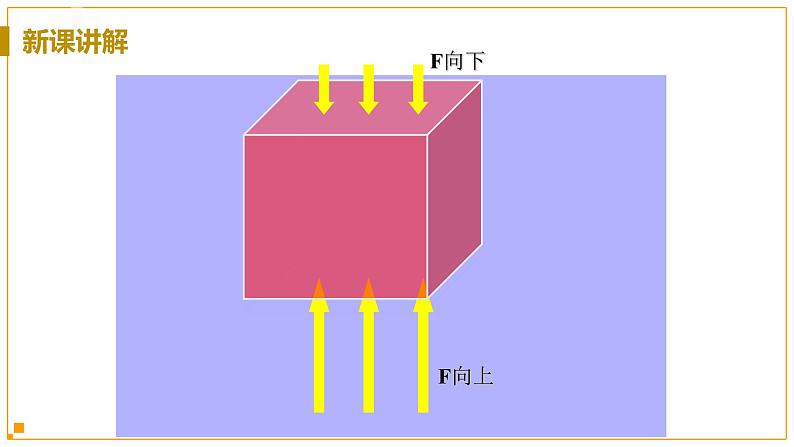 浙教版科学8年级上册 第1章 第3节  水的浮力 PPT课件+教案+习题05