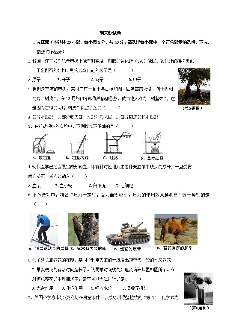 浙教版科学8年级上册 期末测试卷（3）01