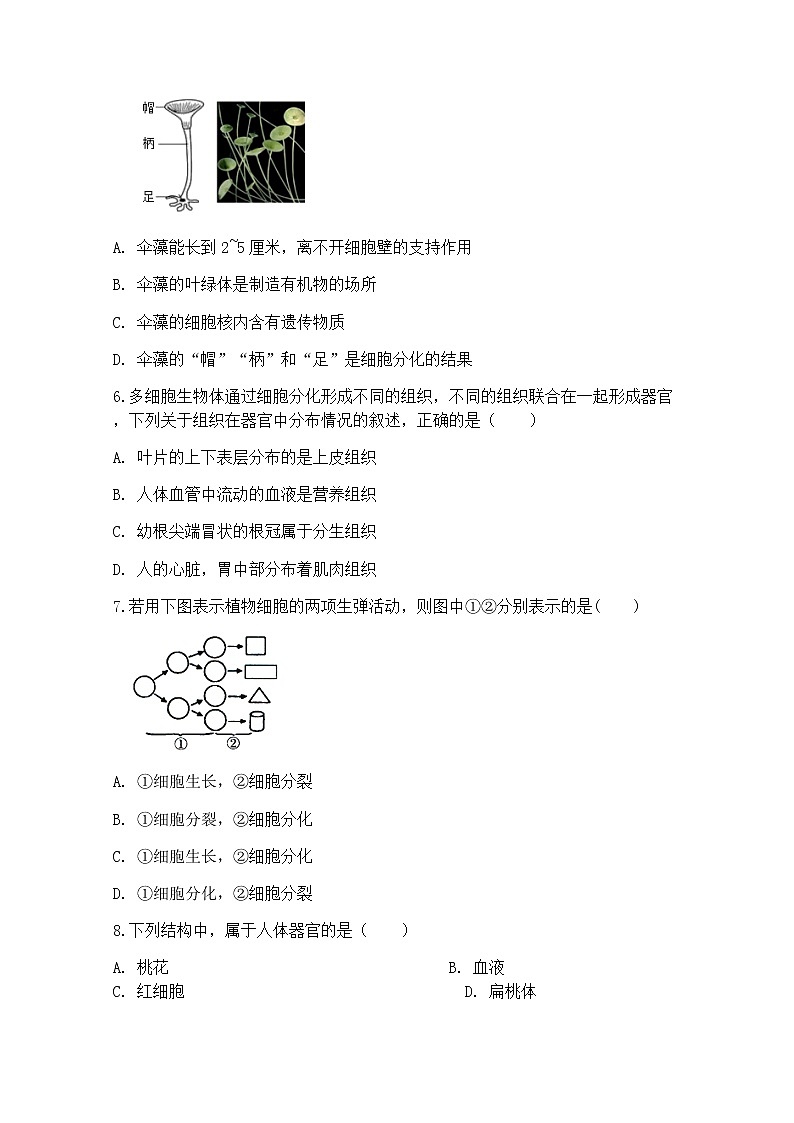 浙教版科学7年级上册 第2章 第3节  生物体的结构层次 PPT课件+教案+习题02