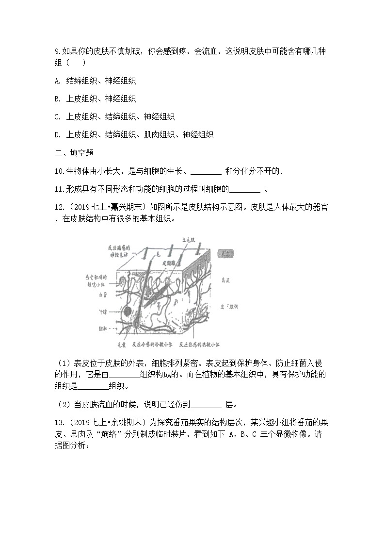 浙教版科学7年级上册 第2章 第3节  生物体的结构层次 PPT课件+教案+习题03
