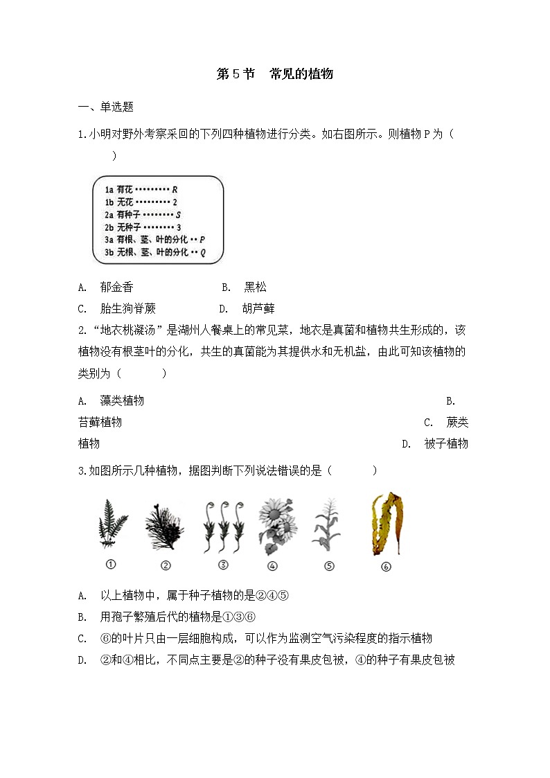 浙教版科学7年级上册 第2章 第5节  常见的植物 PPT课件+教案+习题01