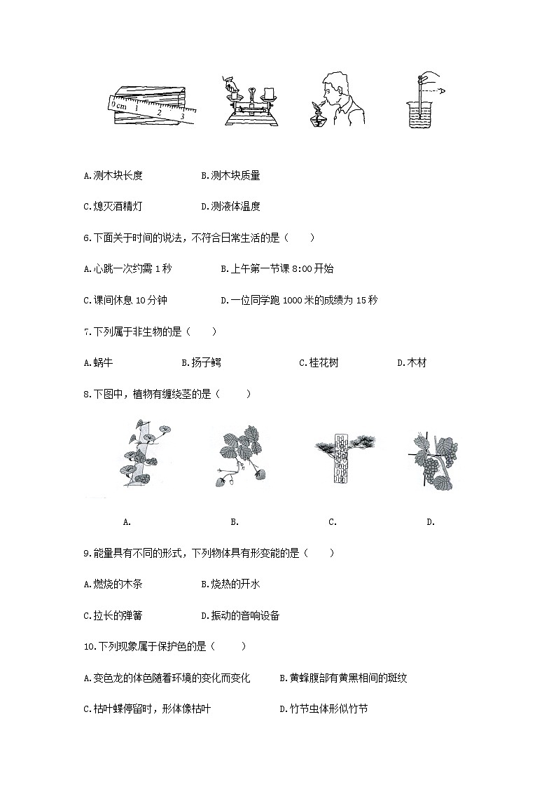 浙教版科学7年级上册 期中测试卷602