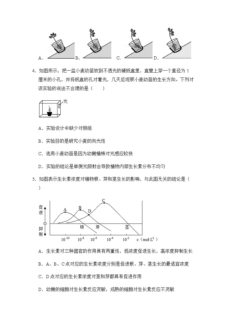 浙教版科学8年级上册 第3章 第1节  植物生命活动的调节 PPT课件+教案+习题02