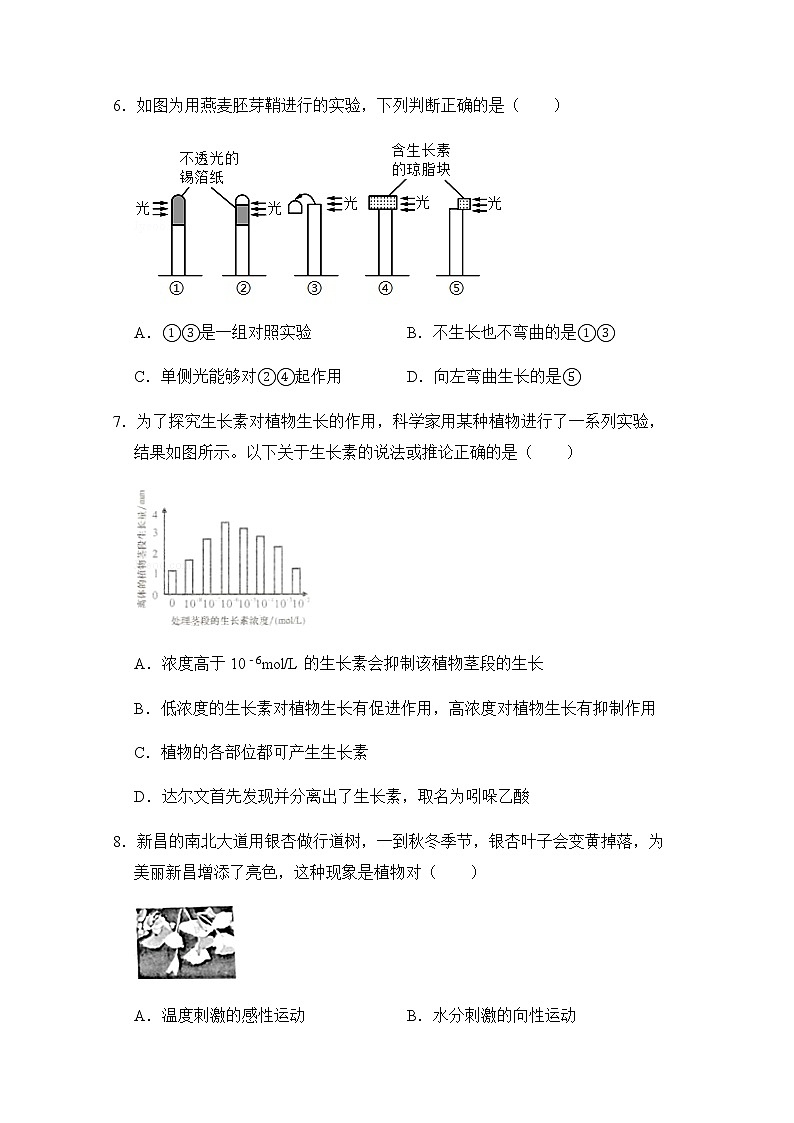 浙教版科学8年级上册 第3章 第1节  植物生命活动的调节 PPT课件+教案+习题03